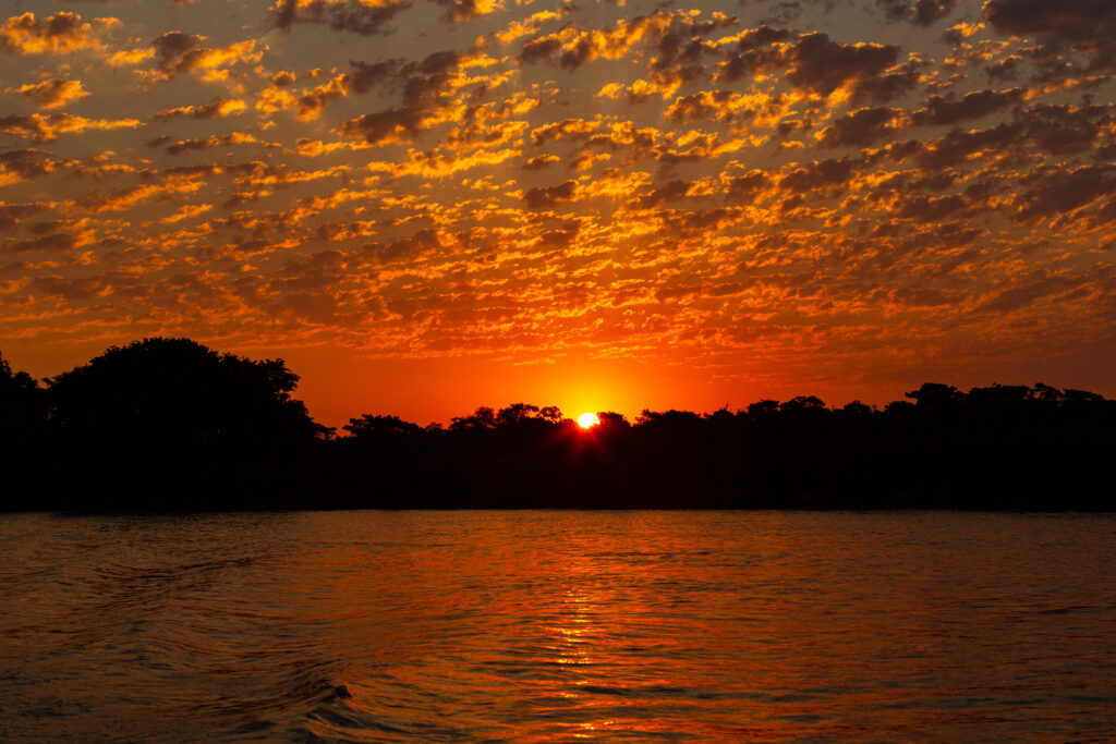 Que tal aproveitar um fim de tarde deslumbrante a bordo do Iate Borari? Esta é a opção perfeita para um date romântico, um passeio em família ou uma diversão entre amigos. Navegar pelas águas tranquilas enquanto o sol se põe é uma experiência que ficará gravada na memória de todos.

Temos um ambiente aconchegante: O Iate Borari oferece um espaço elegante e confortável, ideal para relaxar e desfrutar de momentos especiais com quem você ama.

Cenário Deslumbrante: Contemple a beleza natural ao redor enquanto a luz do pôr do sol transforma o horizonte em uma paleta de cores vibrantes. É o cenário perfeito para fotos inesquecíveis!

Gastronomia Deliciosa: Desfrute de uma seleção de petiscos e bebidas, tudo preparado para tornar sua experiência ainda mais saborosa.
Música e Alegria: Mergulhe em um clima animado com dj a bordo e playlists selecionadas.

Não perca a chance de viver esse momento único! Reserve seu lugar no Iate Borari e venha fazer parte dessa experiência maravilhosa. Esperamos por você para um passeio que promete ser memorável!